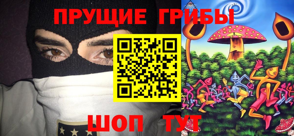 Псилоцибиновые грибы мицелий Уссурийск