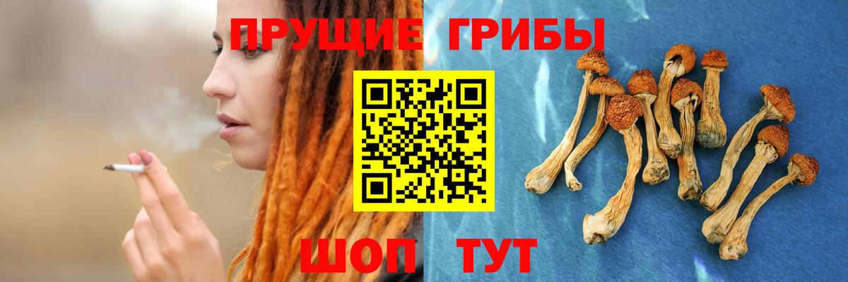 Псилоцибиновые грибы Psilocybe  Вход с VPN  Уссурийск 
